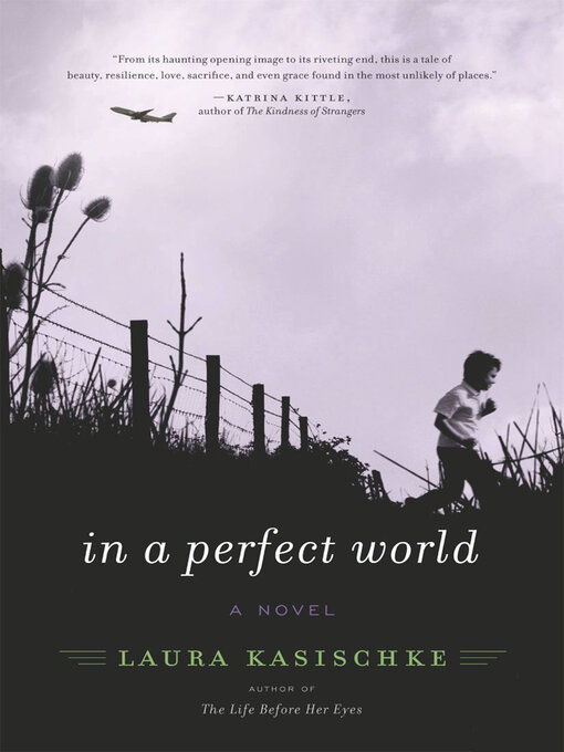 Title details for In a Perfect World by Laura Kasischke - Available